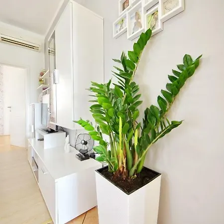 Paulin Apartment